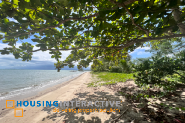 commercial beach property lot for sale in palawan