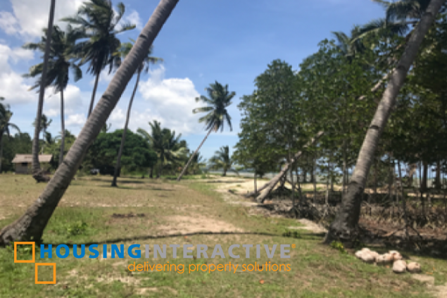 commercial beach property lot for sale in palawan