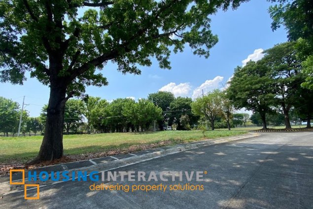 for sale 5 br brand new modern house in manila southwoods