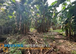 for sale prime corner lot in gilmore, new manila, quezon city