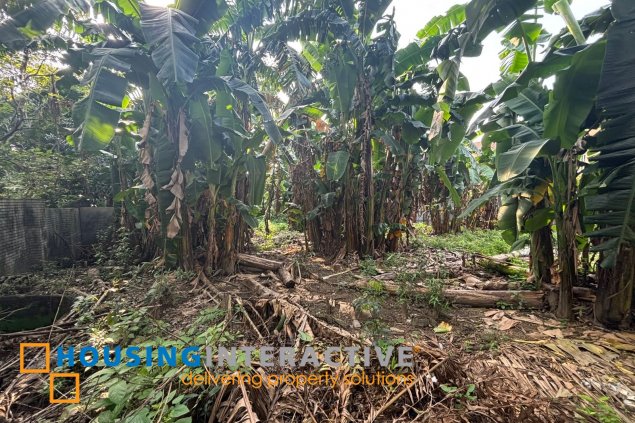 for sale prime corner lot in gilmore, new manila, quezon city