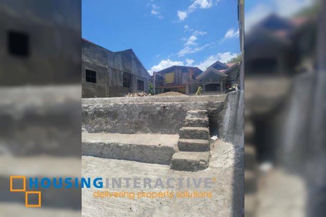 for sale roadside lot with house in solo, mabini