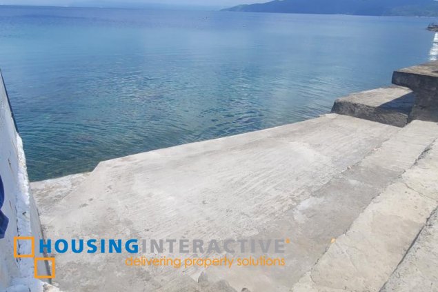 for sale roadside lot with house in solo, mabini