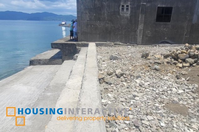 for sale roadside lot with house in solo, mabini