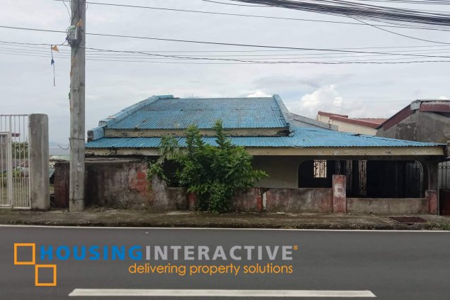 for sale roadside lot with house in solo, mabini