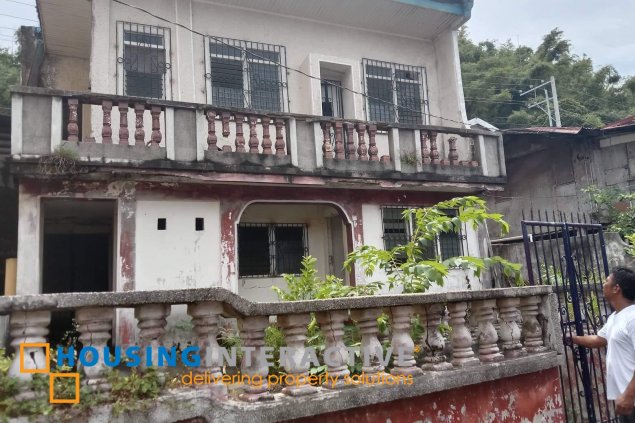 for sale roadside lot with house in solo, mabini