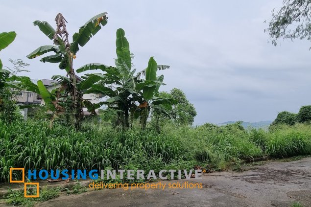 lot for sale in la montana estates, antipolo city