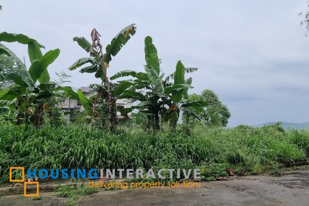 lot for sale in la montana estates, antipolo city