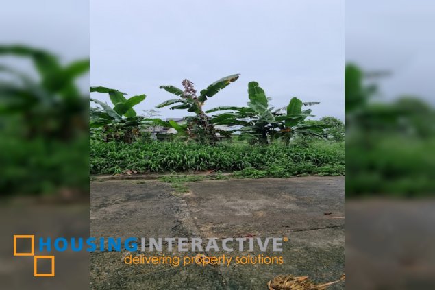 lot for sale in la montana estates, antipolo city