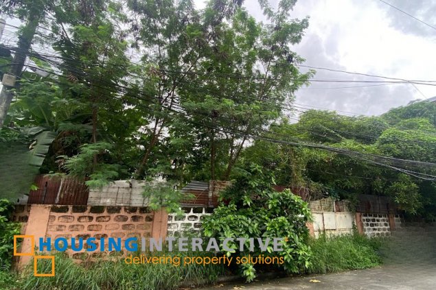 residential lots for sale in multinational village, paraÑaque