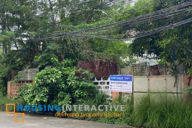 residential lots for sale in multinational village, paraÑaque