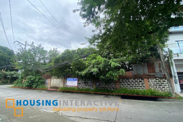 residential lots for sale in multinational village, paraÑaque