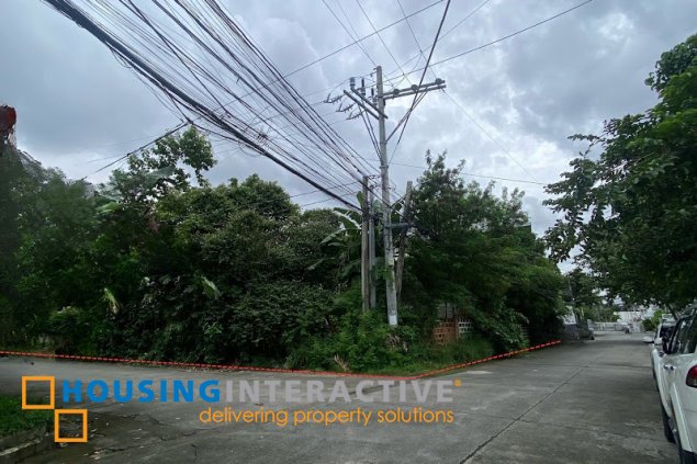 residential lots for sale in multinational village, paraÑaque