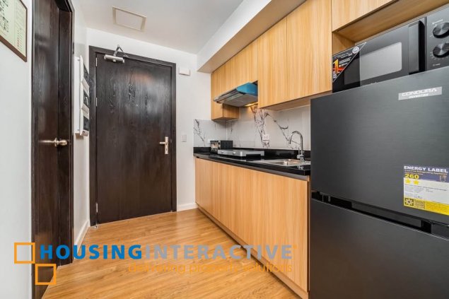 fully furnished studio unit for lease in park triangle residences