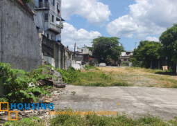vacant lot for sale in mh del pilar st. brgy palatiw, pasig