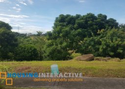 residential lots for sale in pahara