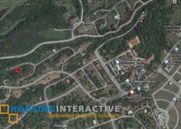 516 sqm for sale in ayala westgrove estates