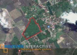 11.1 hectare for sale in victoria laguna